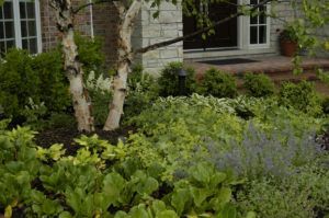 Trees And Plants — Northbrook, IL — Shelly’s Landscape 