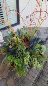 Potted Plants — Northbrook, IL — Shelly’s Landscape 