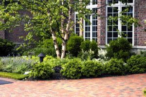 Brick And Plants — Northbrook, IL — Shelly’s Landscape 