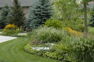 Lush Garden With Palm — Northbrook, IL — Shelly’s Landscape 