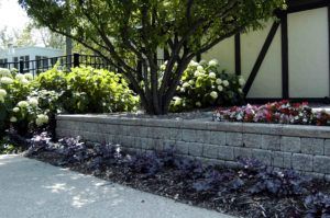 Brick With Trees — Northbrook, IL — Shelly’s Landscape