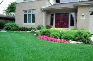 House — Northbrook, IL — Shelly’s Landscape