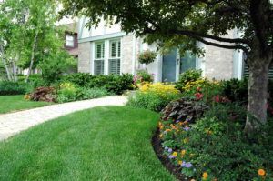 Beautiful Garden — Northbrook, IL — Shelly’s Landscape 