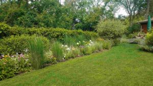 Green Grass — Northbrook, IL — Shelly’s Landscape 