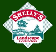 Shelly’s Landscape