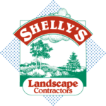 Shelly’s Landscape