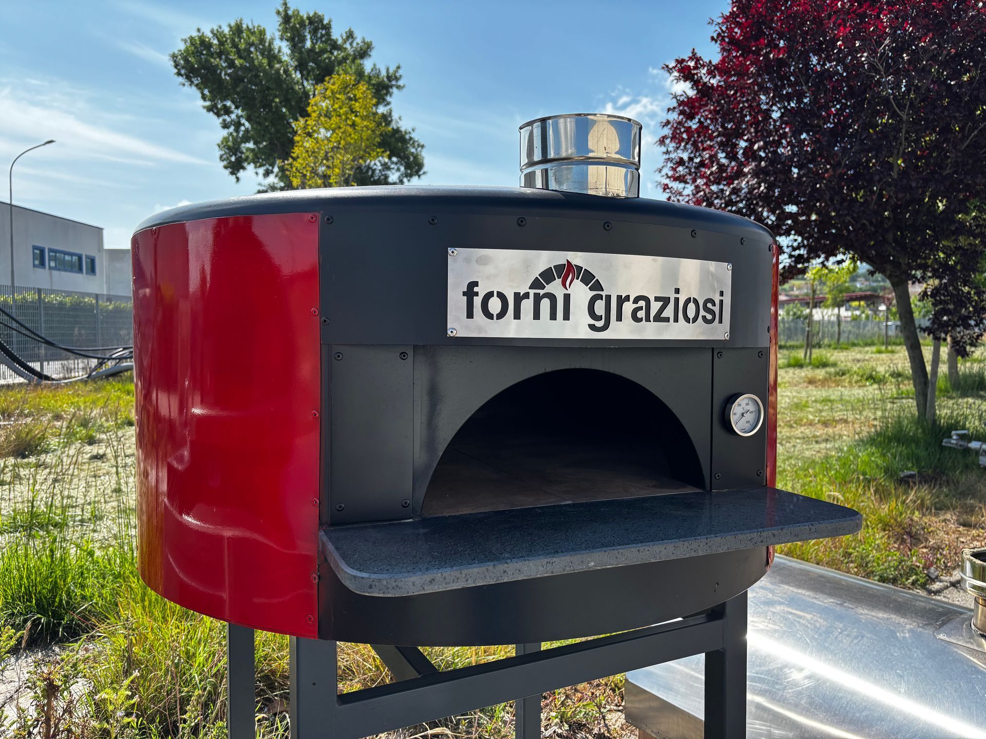 Una persona tiene in mano un piatto di pizza con patatine fritte davanti a un forno.
