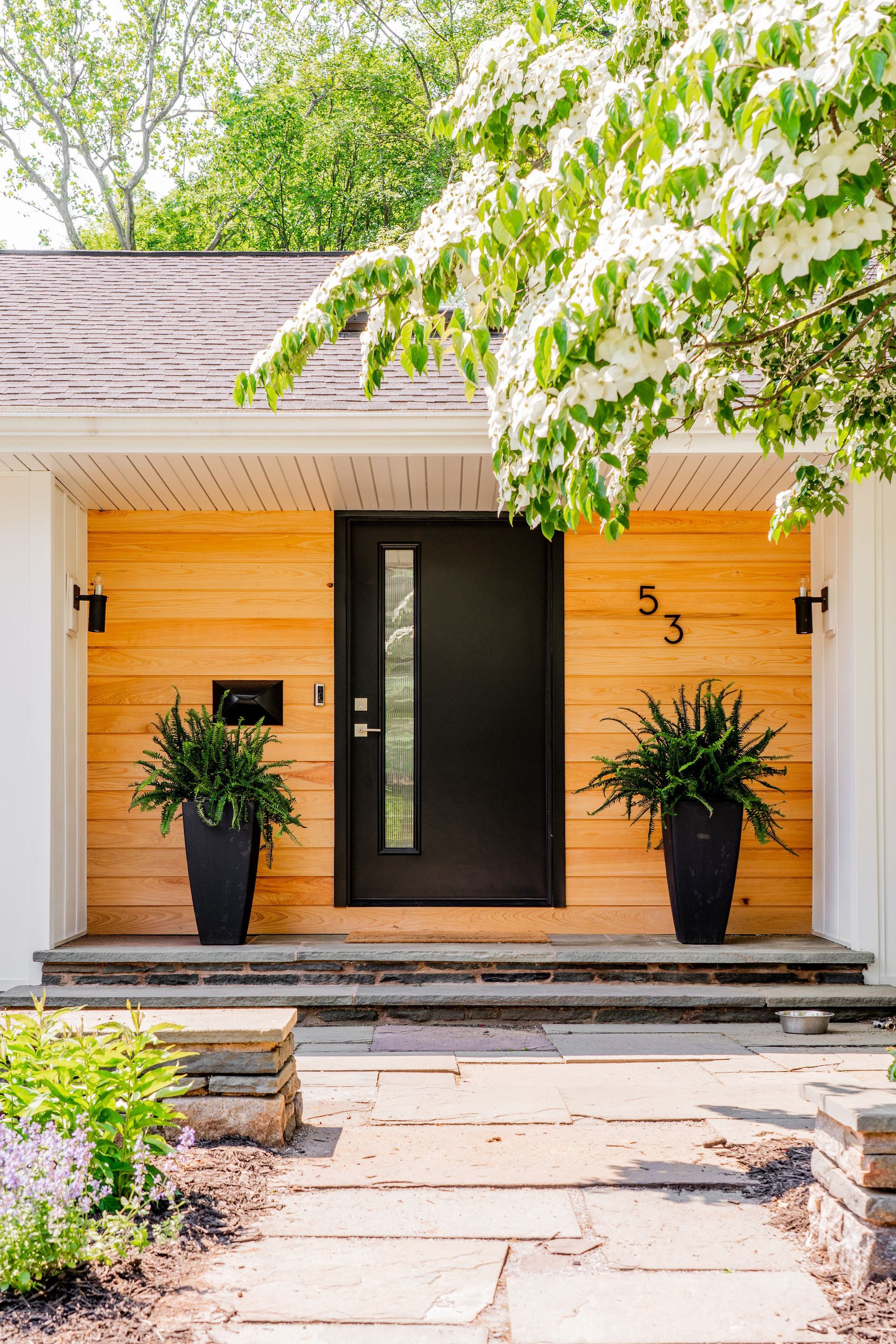 A modern home entryway with a black door, wood paneling, and potted plants, featuring a stone walkway.