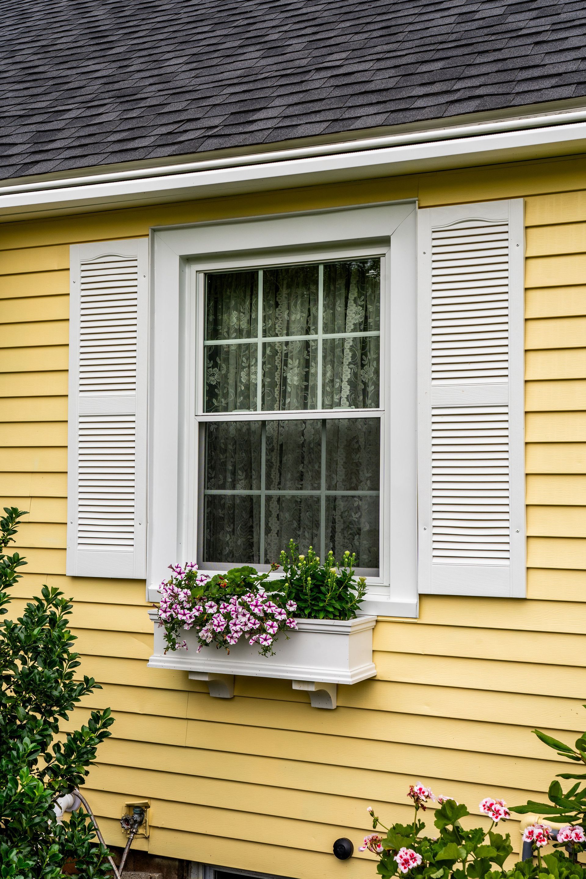 Window with white shutters and flower box on yellow house.