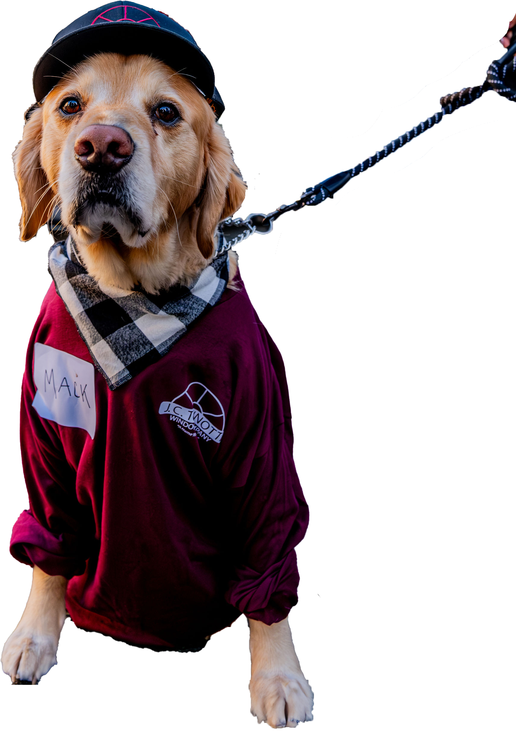 A dog wearing a hat and a sweater is on a leash.