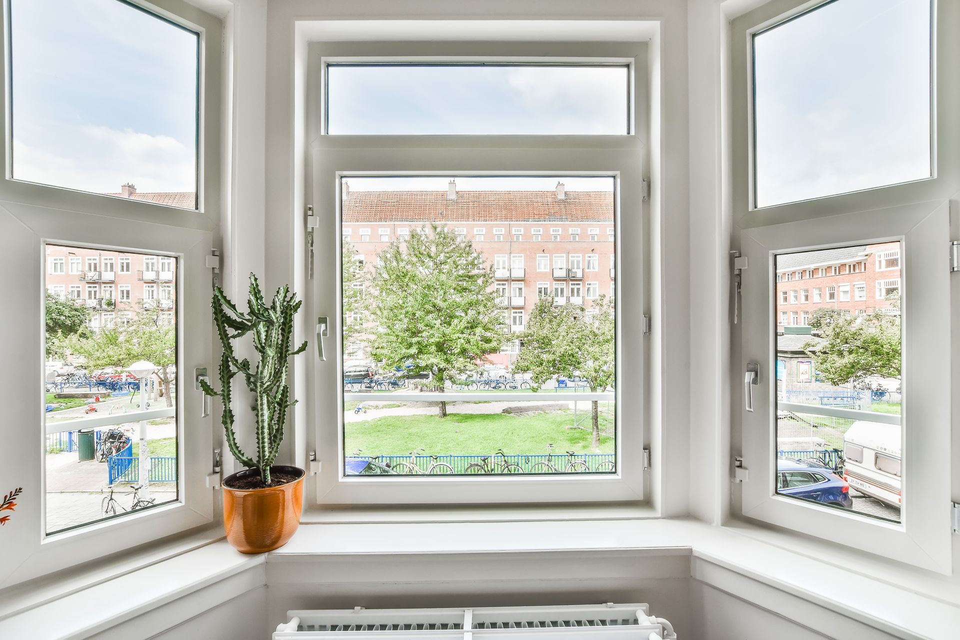Bright white bay window overlooking a park with trees and buildings; a cactus sits on the windowsill.