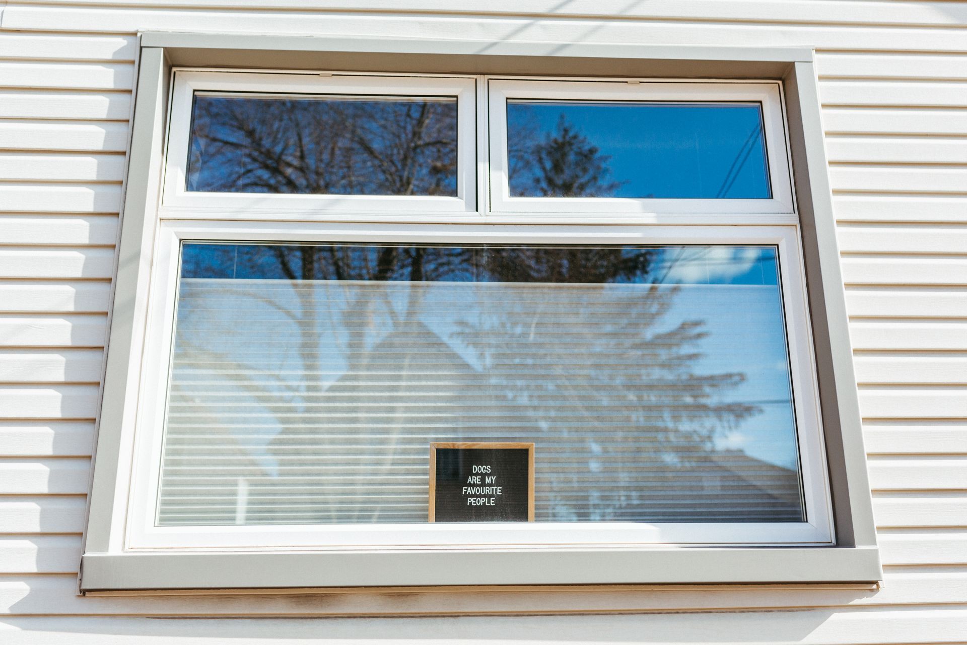White-framed awning window reflecting trees and sky in white siding, with a small, dark shape inside.