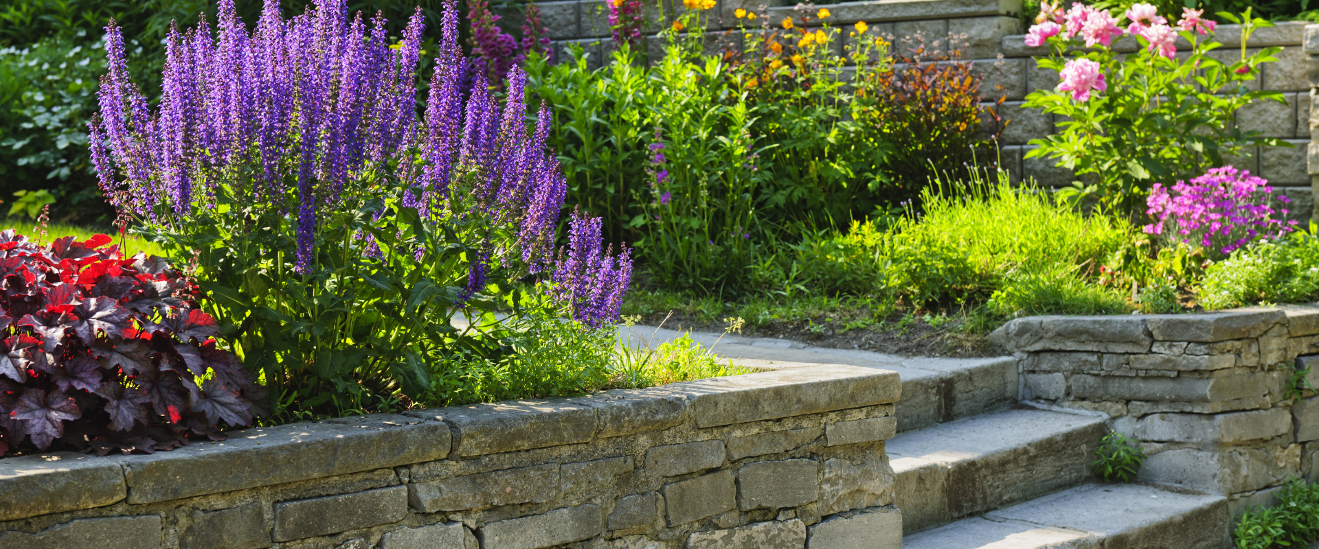 There are many different types of flowers in the garden.