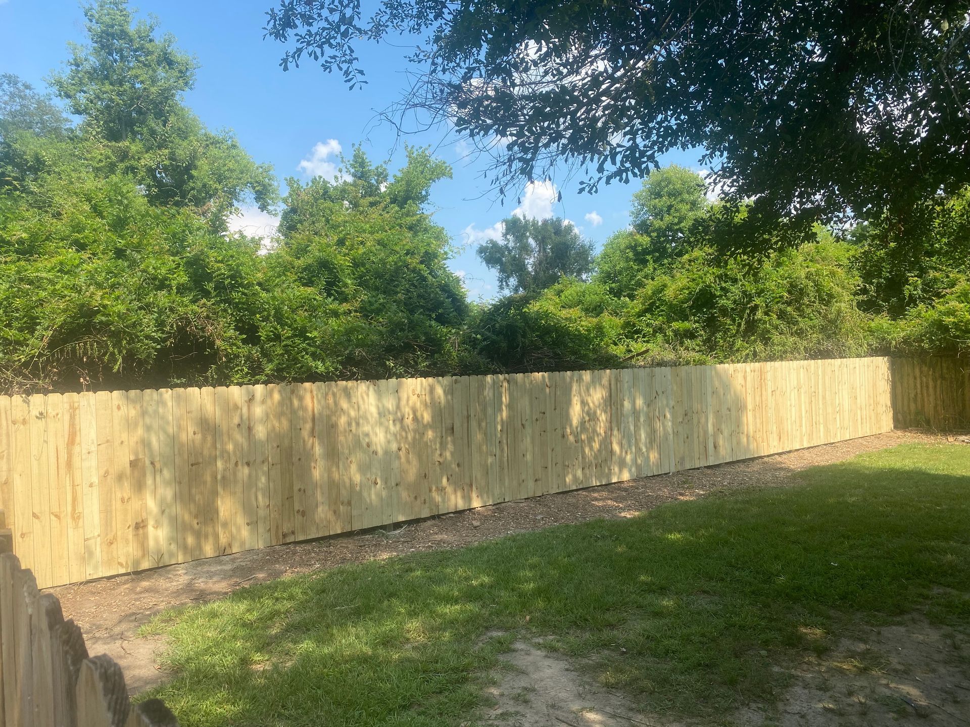 A wooden fence is surrounded by trees in a backyard.