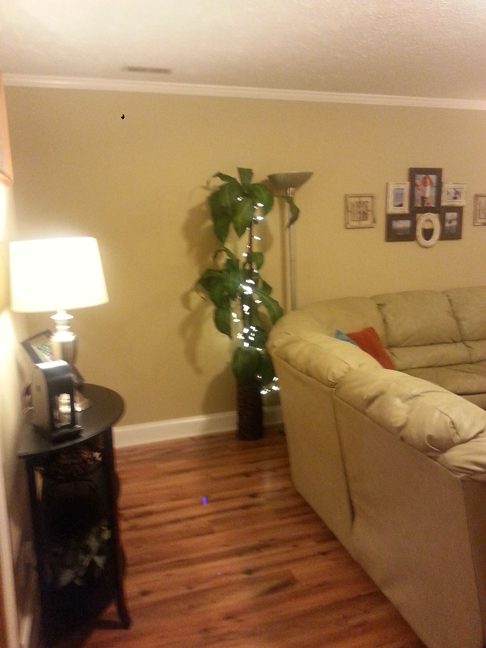 A living room with a couch and a lamp