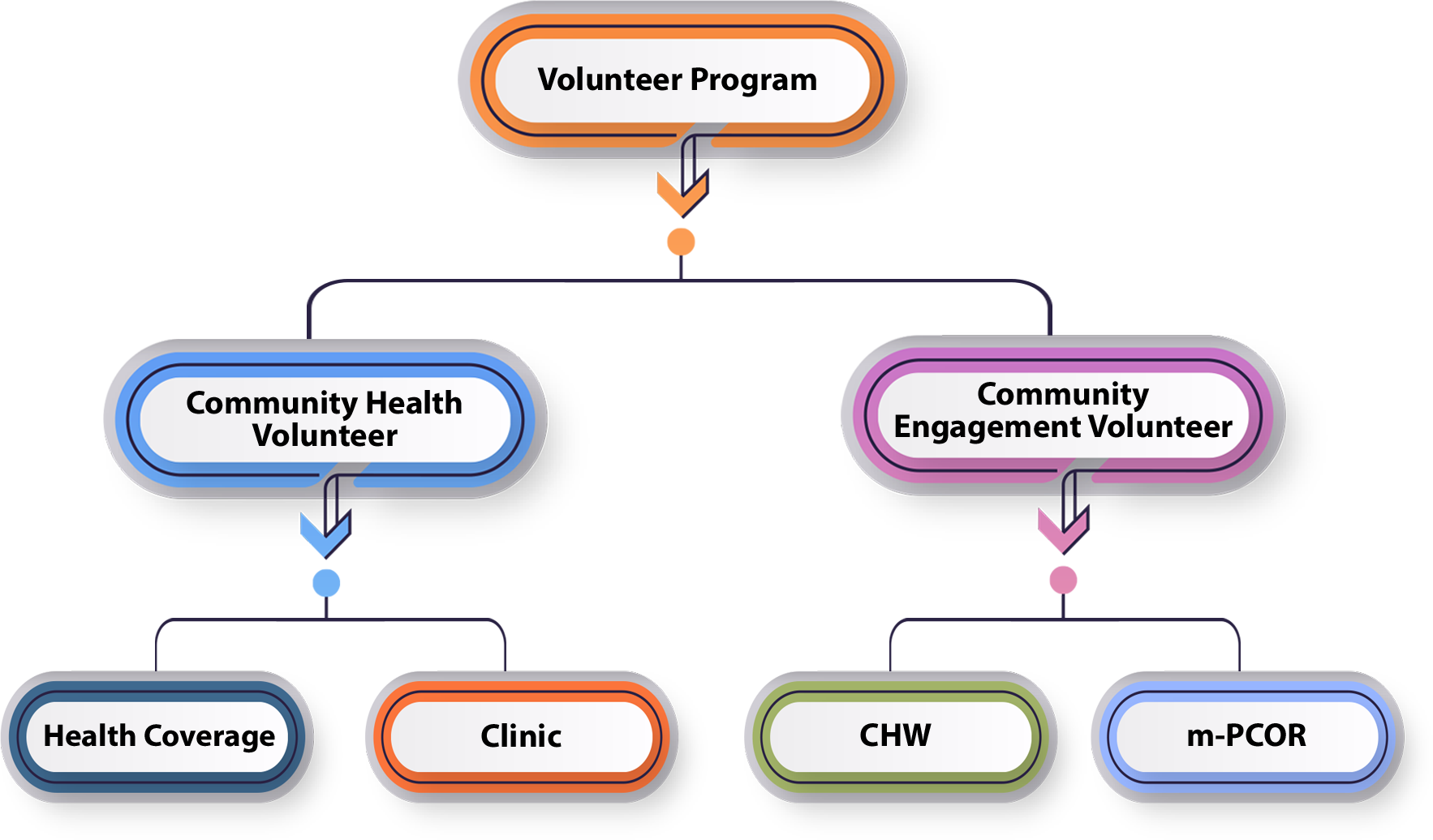 Flowchart of a volunteer program, with branches for community health and engagement volunteers.