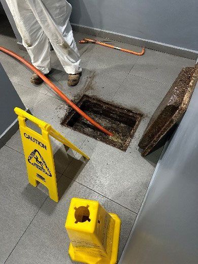 RECURSOS E INGENIERÍA SUSTENTABLE -