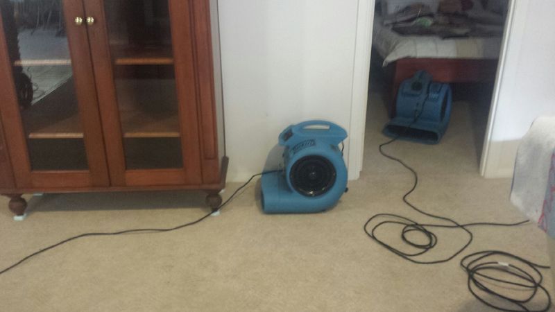 carpet cleaning — Dial a Carpet Cleaner in Mackay, QLD