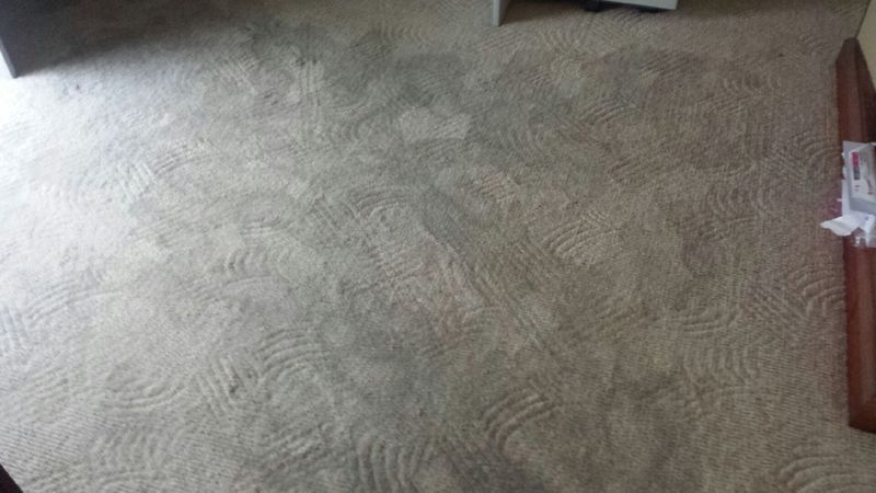 dirty carpet that needs to be clean — Dial a Carpet Cleaner in Mackay, QLD