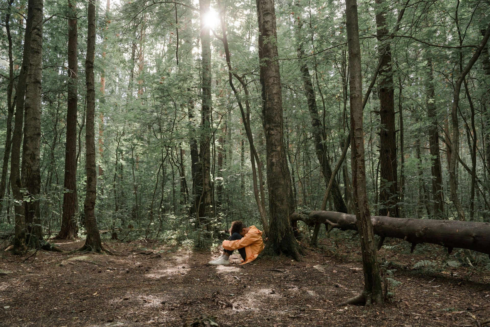 A person is sitting on the ground in the middle of a forest global youth services finding children and teens 