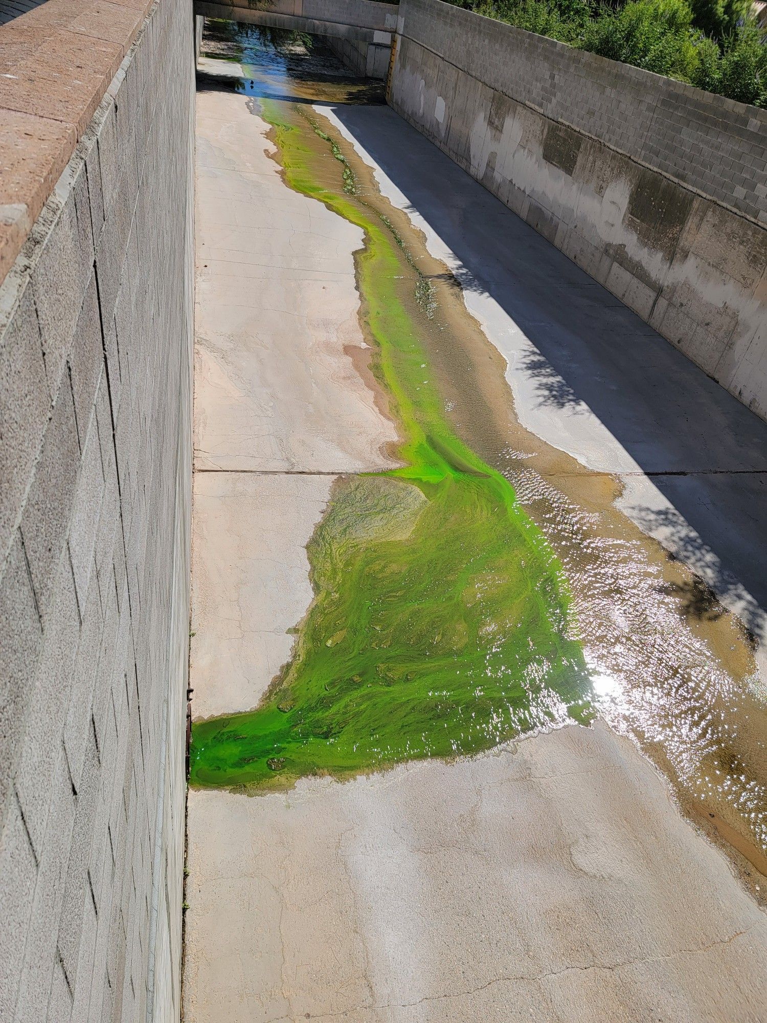 Dye Testing
