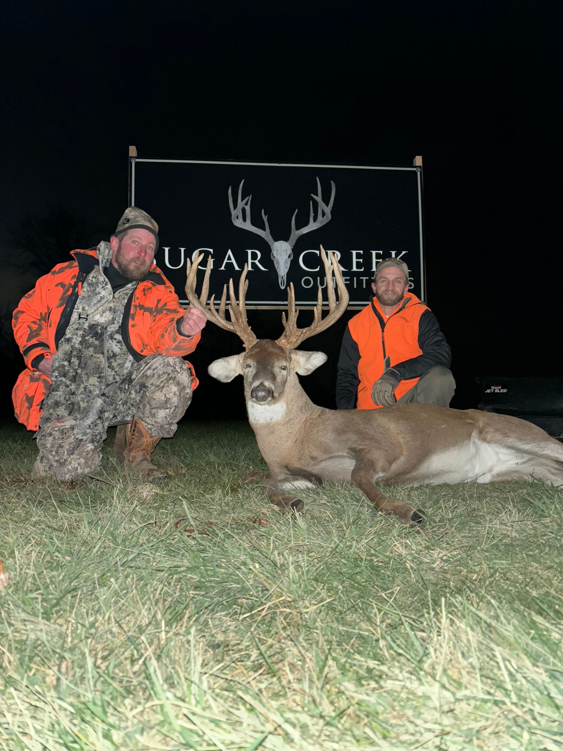 Two men are standing next to a deer in a field.