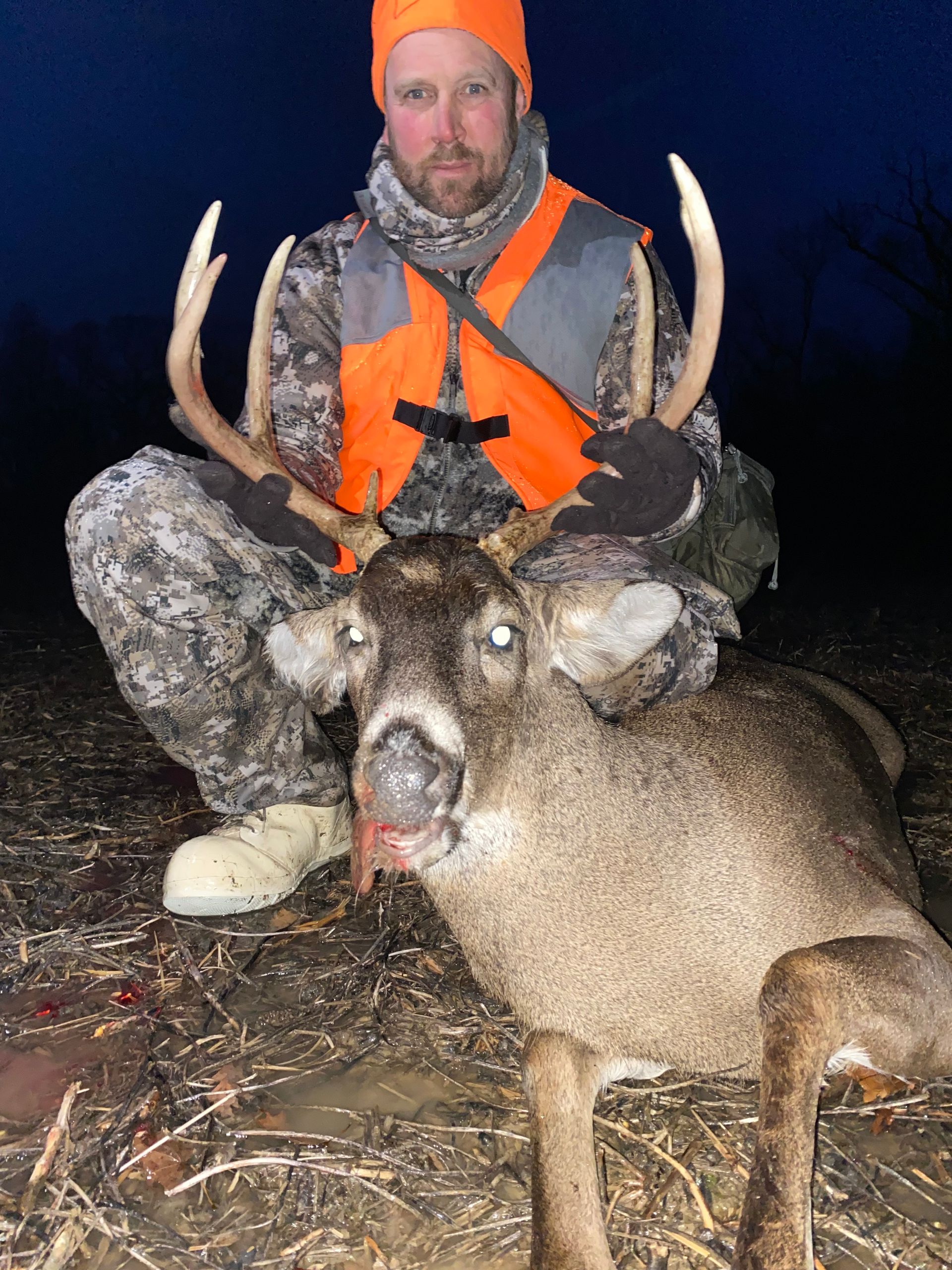 A man in an orange vest is kneeling down next to a deer.