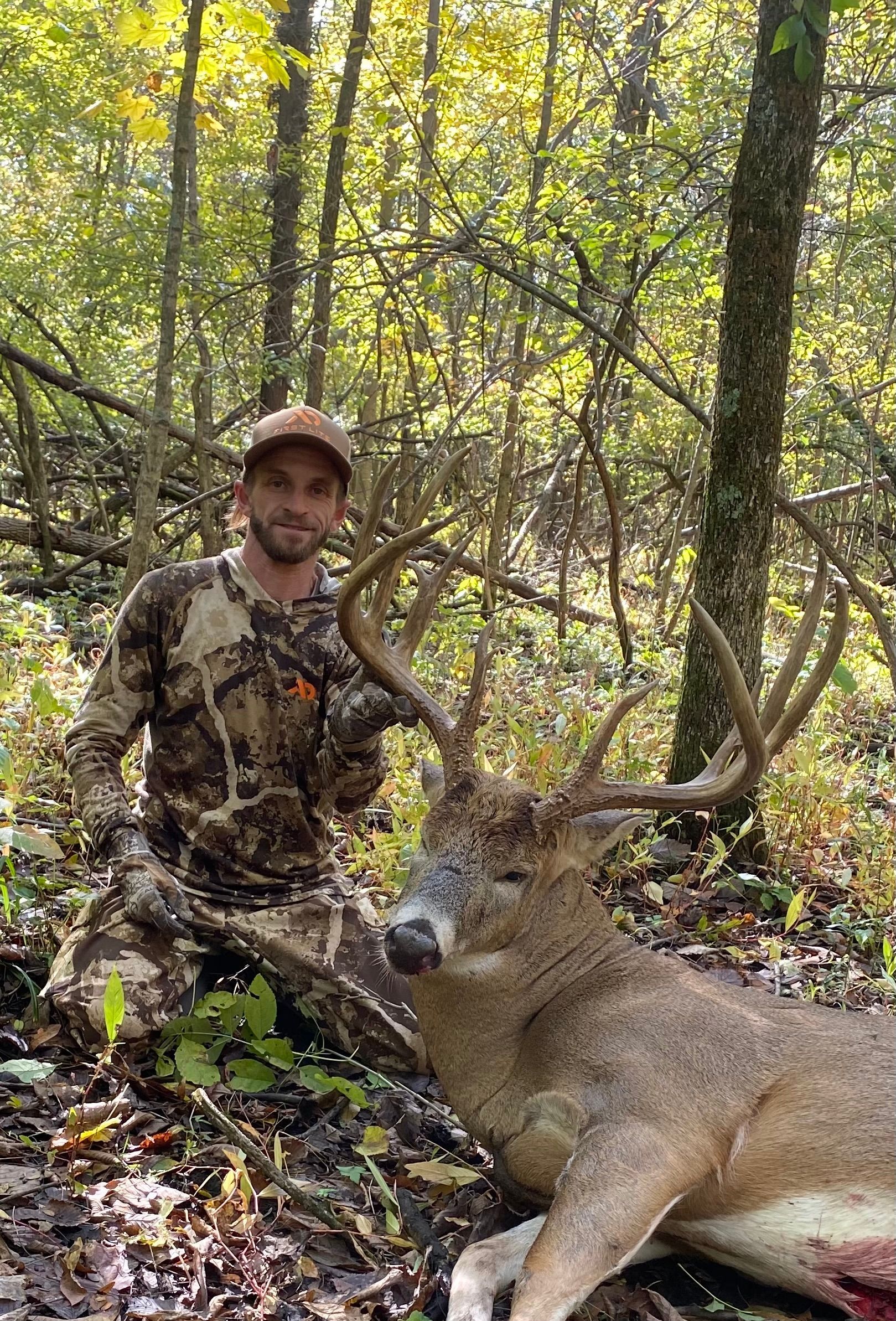 whitetail deer picture