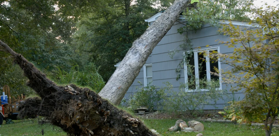A tree that has fallen on top of a house.