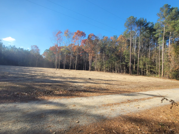 Open field with a dirt road, surrounded by trees with autumn foliage under a blue sky.