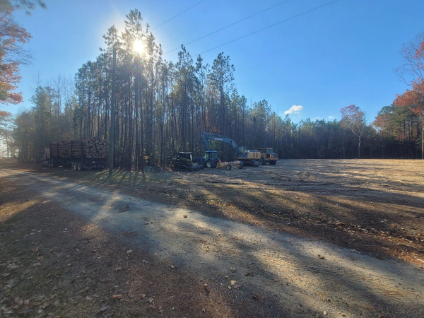 Sunny day in clearing, trees in the background, heavy machinery and trailers.