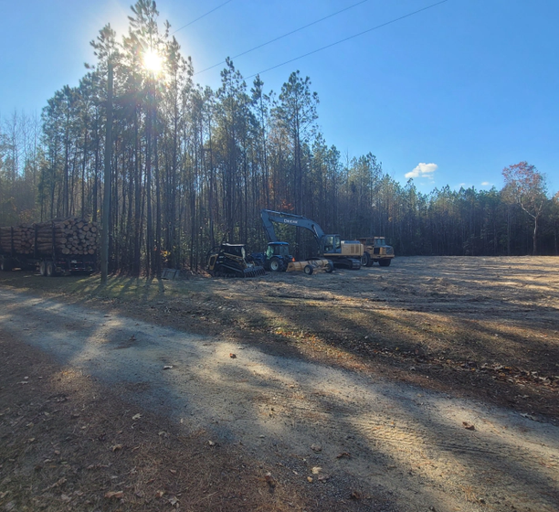 A dirt road in the middle of a forest with trees in the background