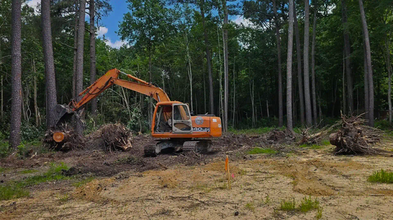 A large orange excavator is working in the middle of a forest.
