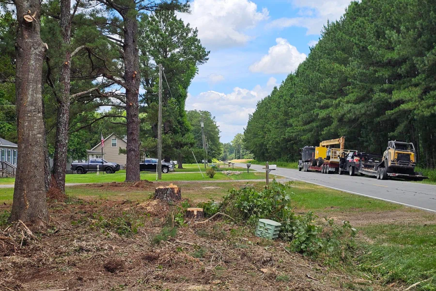 A row of trucks are parked on the side of a road next to trees.