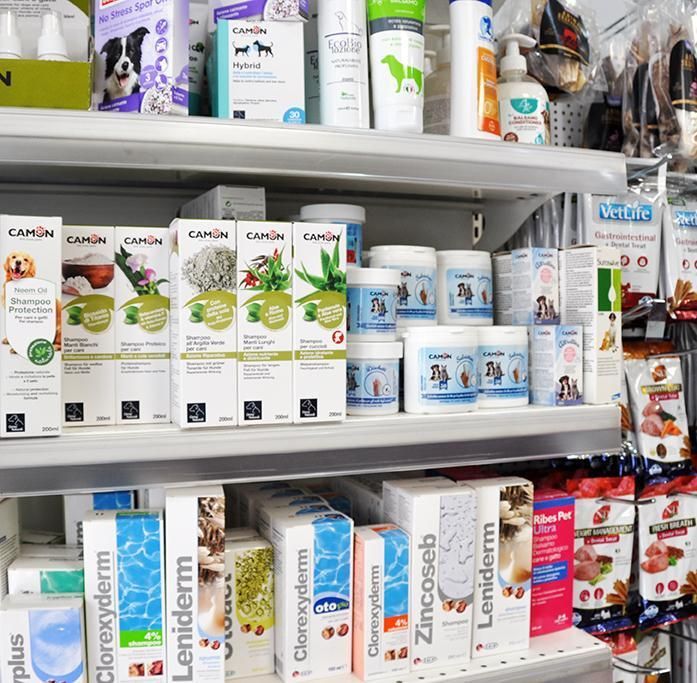 cane con ciotola in bocca