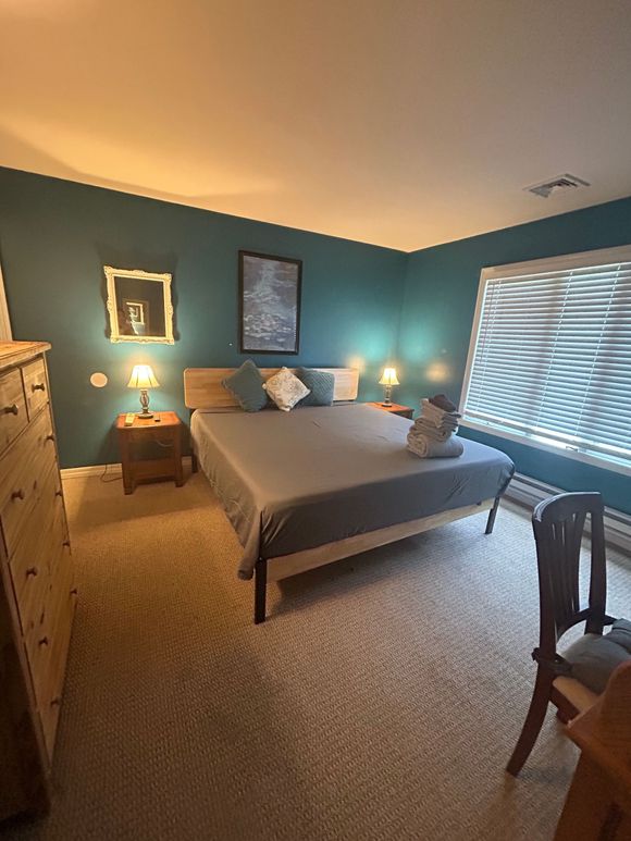 A bedroom with a bed , dresser , nightstand , chair and two windows.