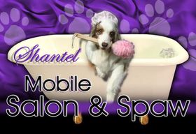 Shantel Mobile Salon and Spaw