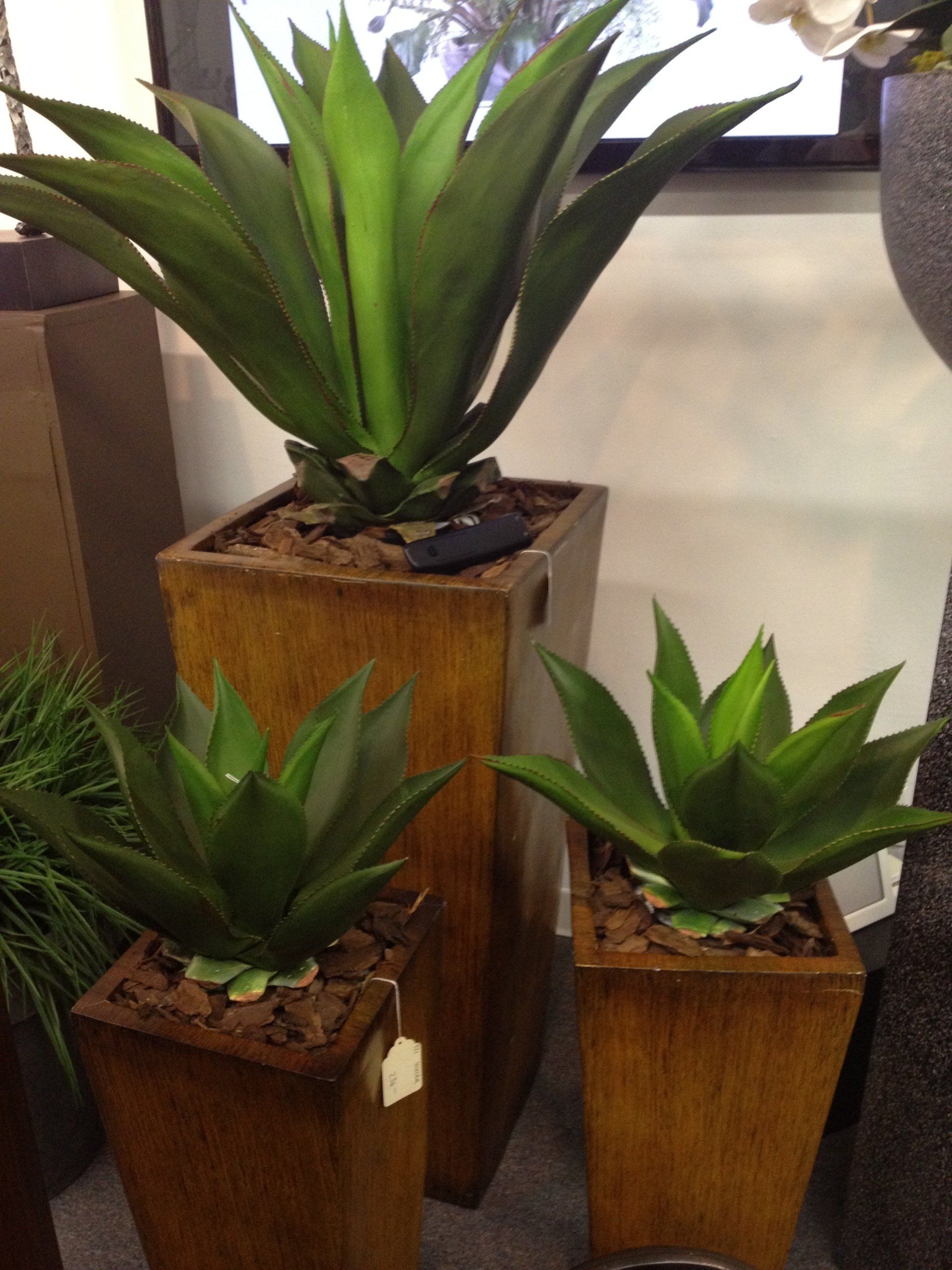 Custom Silk Trees & Plants Boca Raton, FL Creative Collection