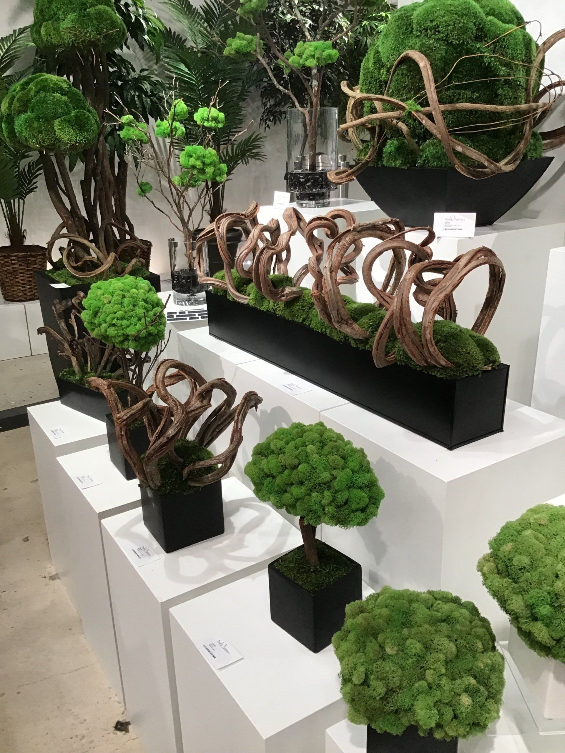 Custom Silk Trees & Plants Boca Raton, FL Creative Collection