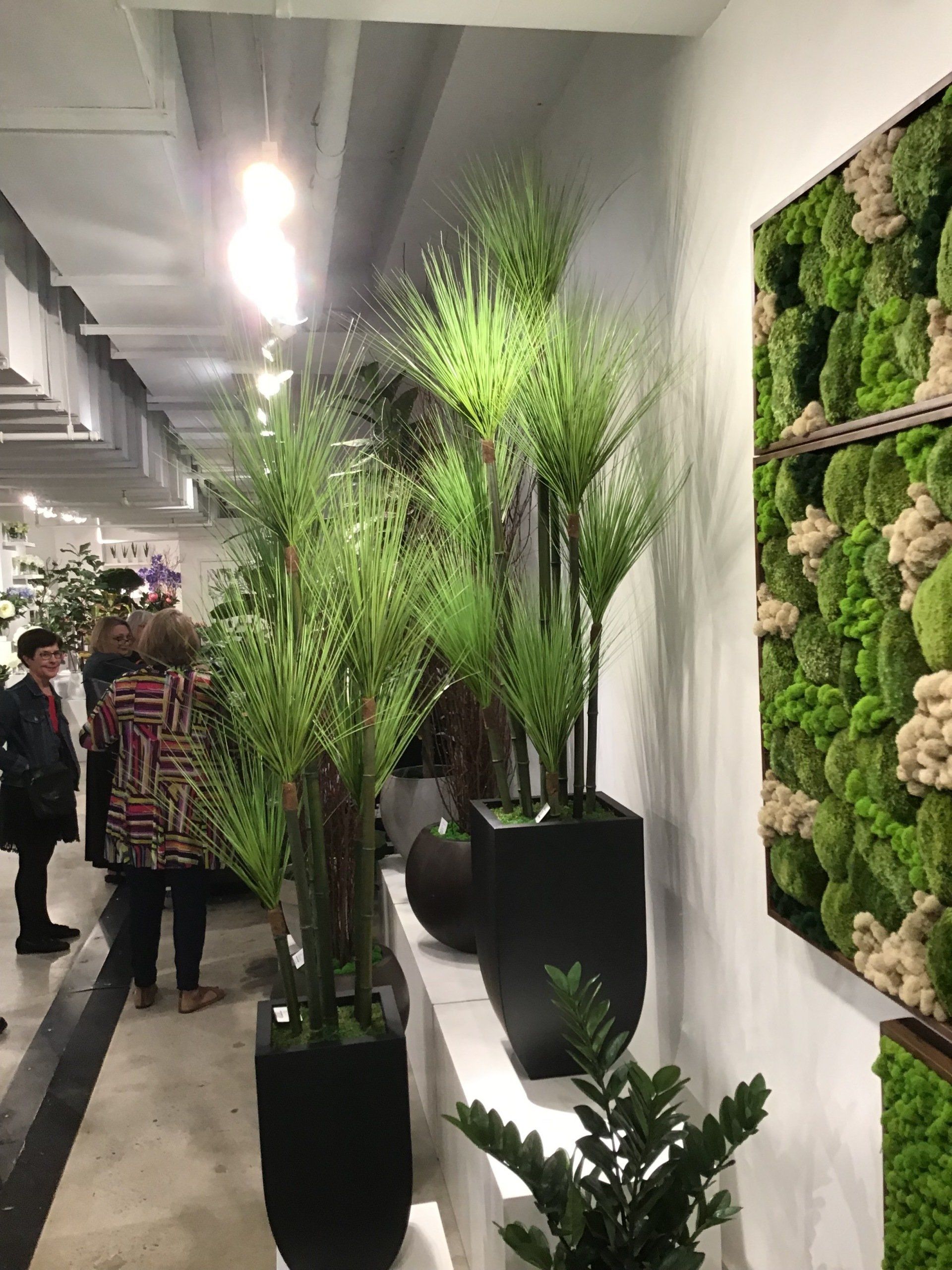 Custom Silk Trees & Plants Boca Raton, FL Creative Collection