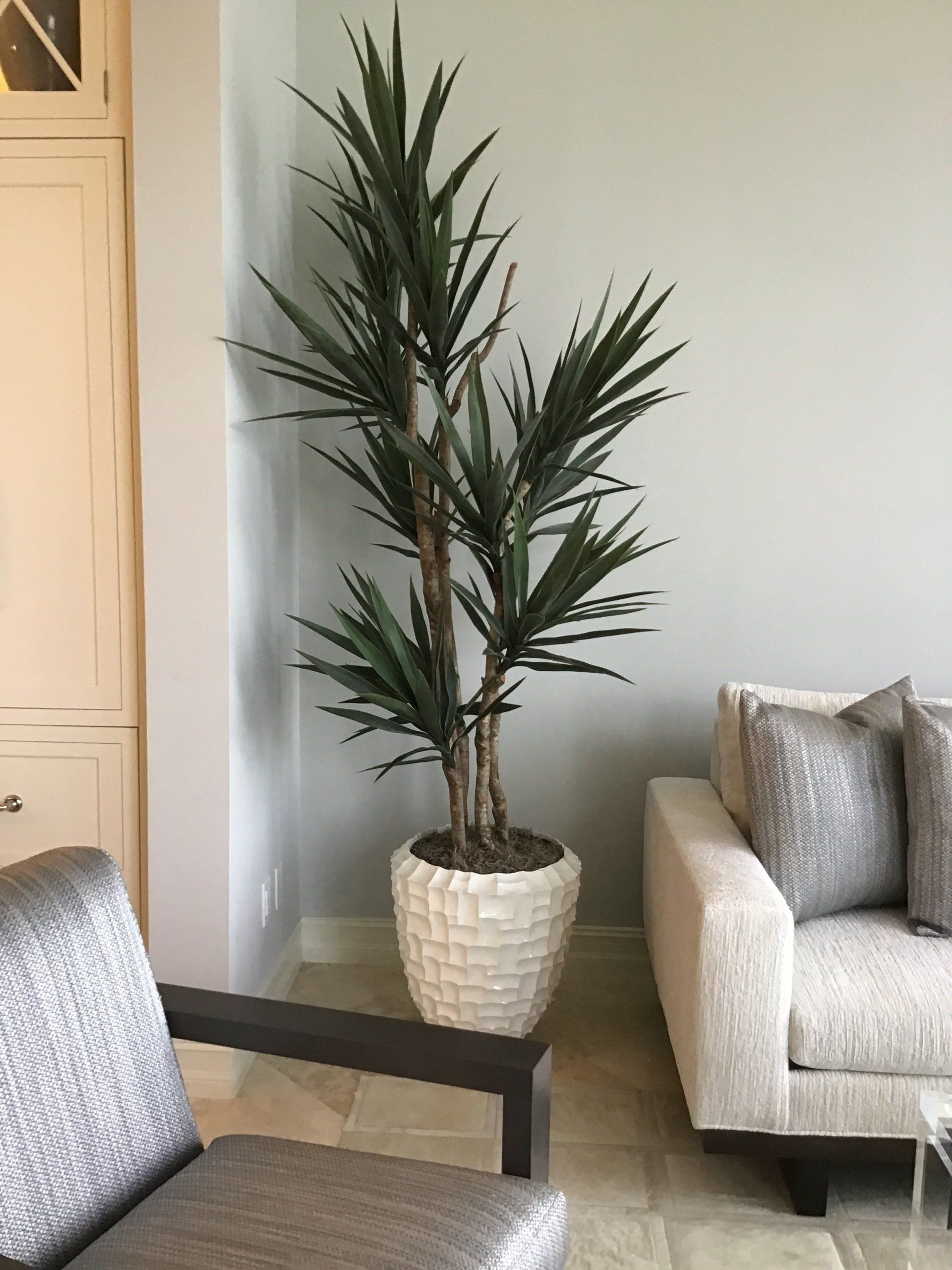 Custom Silk Trees & Plants Boca Raton, FL Creative Collection