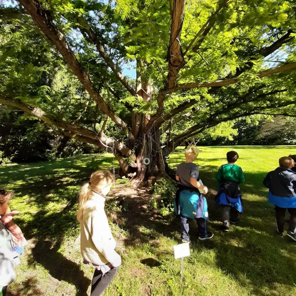 Children Enjoying Under Tree