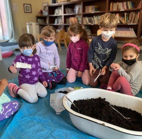 Students Plant Seeds as Part of Schoolyard Habitat Program