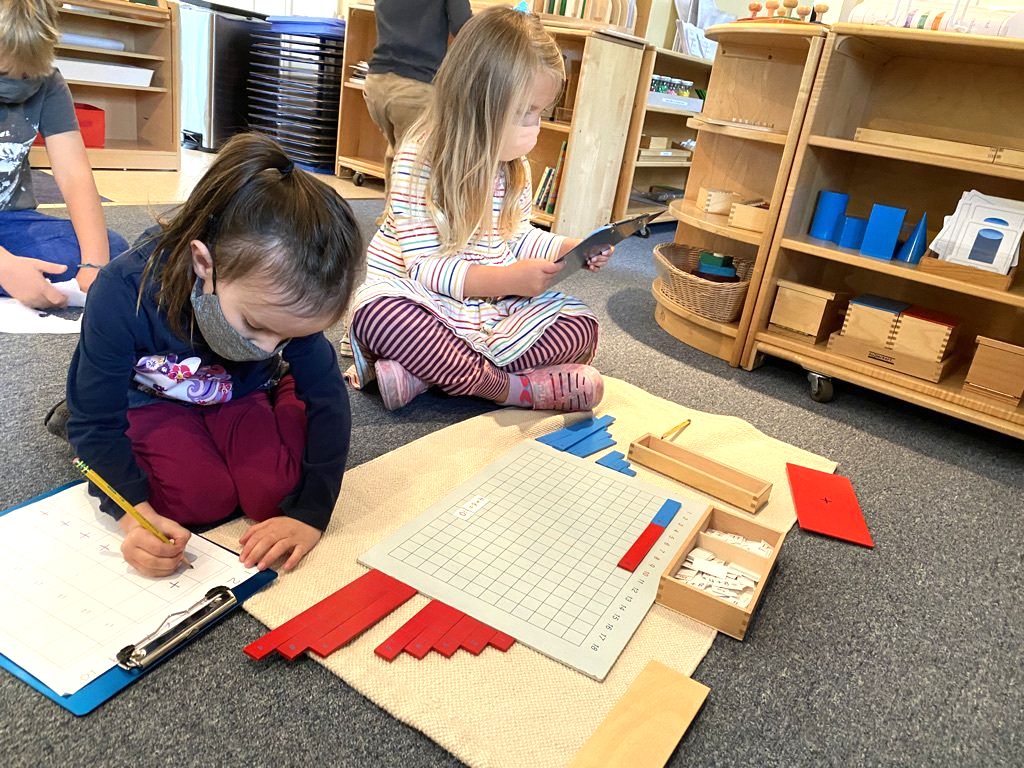 Child working with the Montessori Tree of Life material