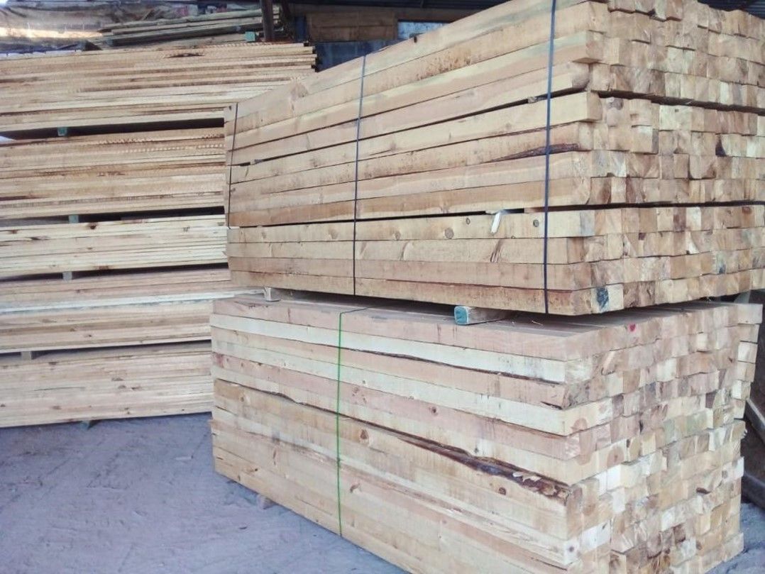 MADERAS Y PALLETS DE SAN LUIS