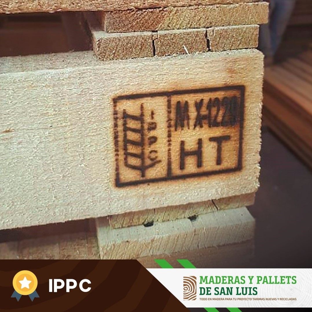 MADERAS Y PALLETS DE SAN LUIS