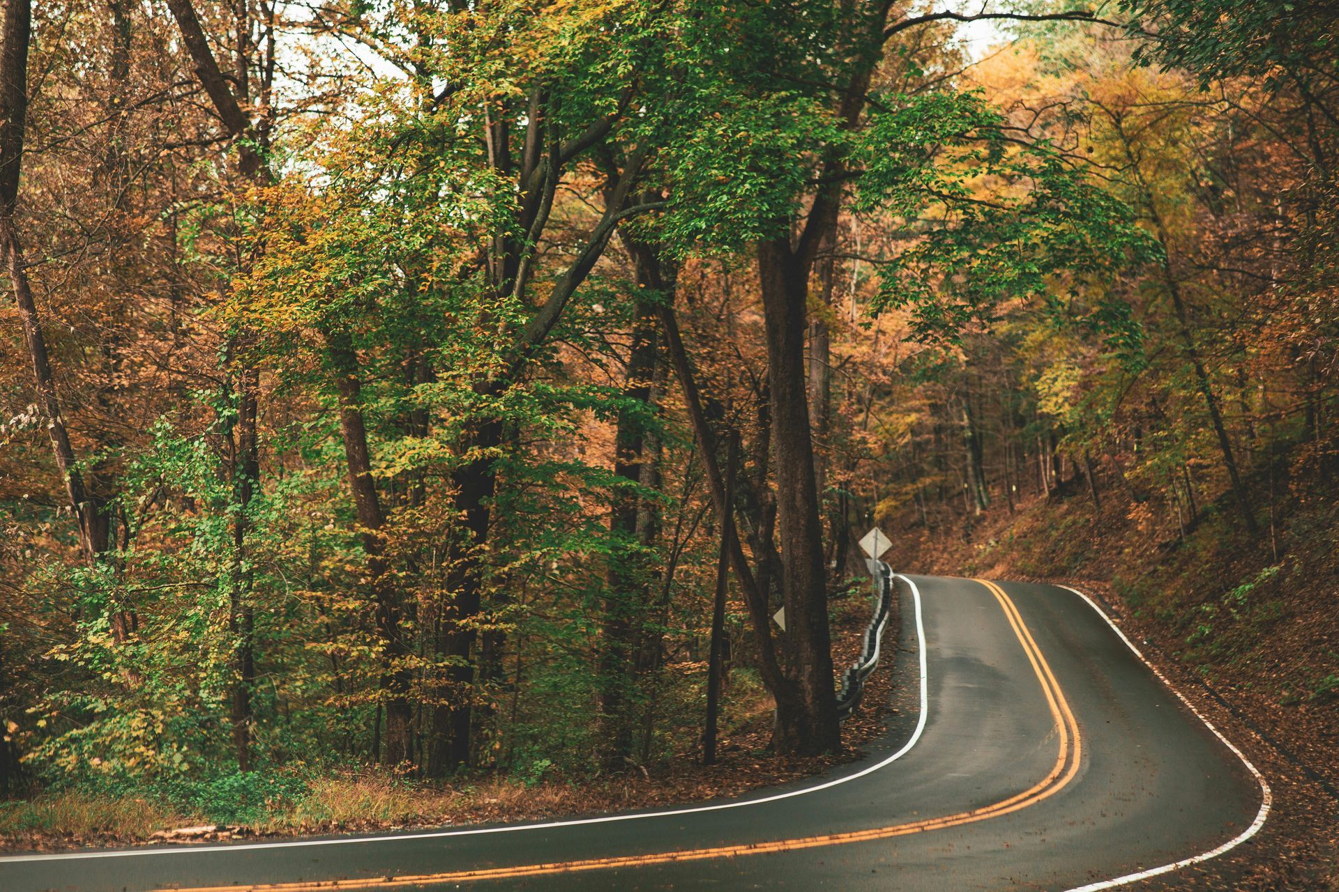 Curving road through a forest with trees in autumn colors: yellow, orange, and green.