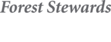 Forest Steward Guild
