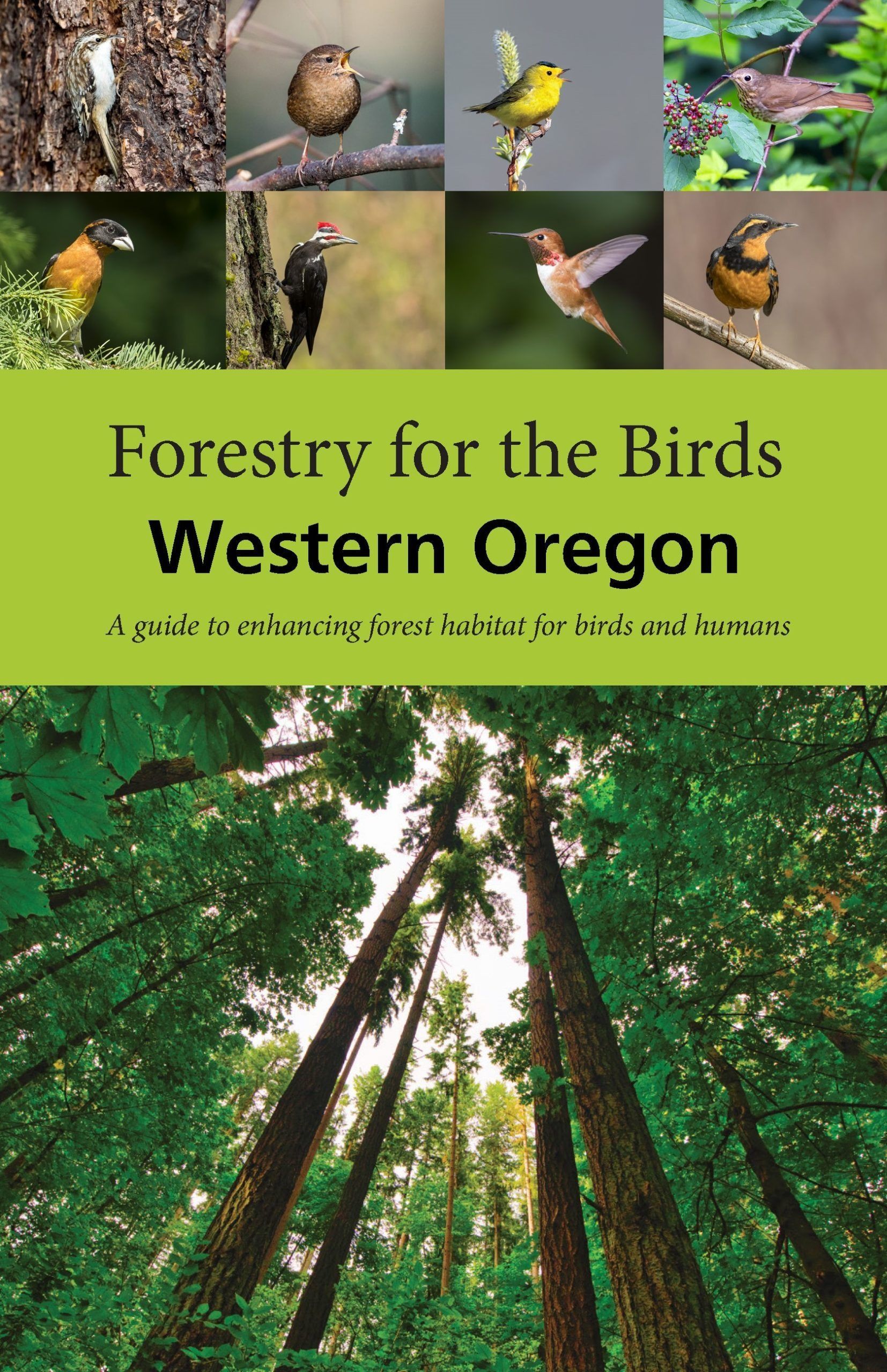 Photo of the cover of the Guide