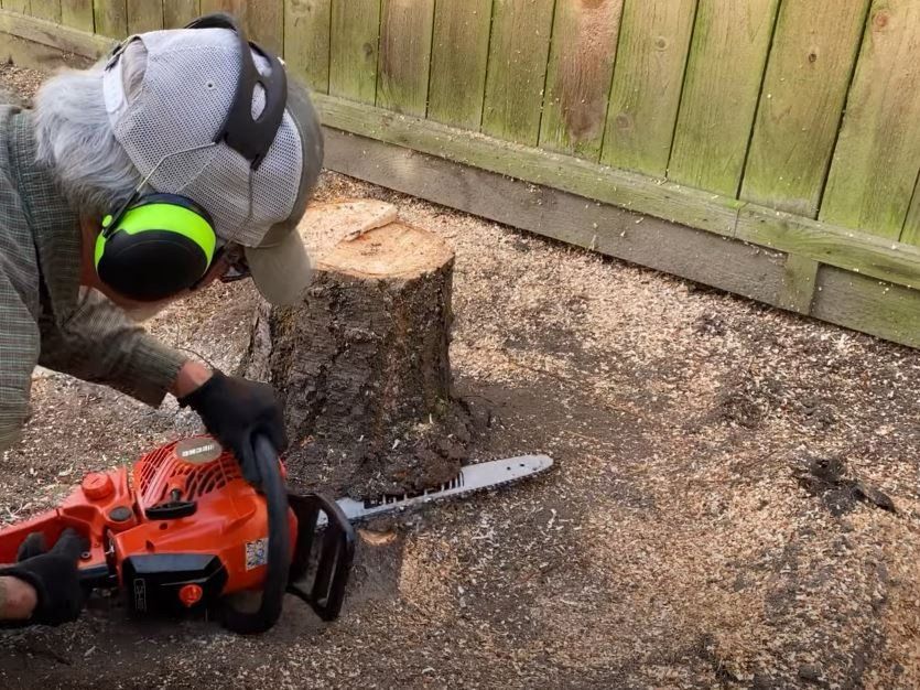 Sydney Stump Removers Stump Grinding and Removal